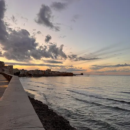 Summer Wind טראפאני